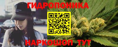 ПСИЛОЦИБИНОВЫЕ ГРИБЫ Кингисепп